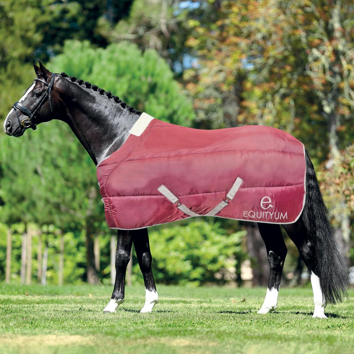 Couverture box Equityum Iris bleu 120 cm pour garder votre poney au chaud après le travail