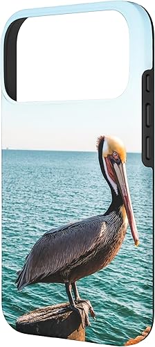 Vista 80 de iPhone 11 Pelican Case