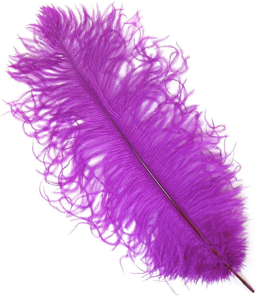 ZUCKER Ostrich Feathers for Centerpieces- Wedding Decorations- Feathers for Crafts, 12 Pieces, 13-16 inch, Very Berry