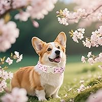 Vista 148 de Unique Style Paws - Collar rosa con hebilla de metal, duradero y lindo para perros pequeños a grandes