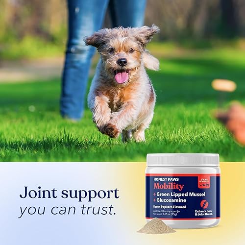 Miniatura 6 de Honest Paws Glucosamina para perros - Suplemento en polvo para articulaciones y movilidad con mejillón de labios verdes, aceite de pescado y MSM -