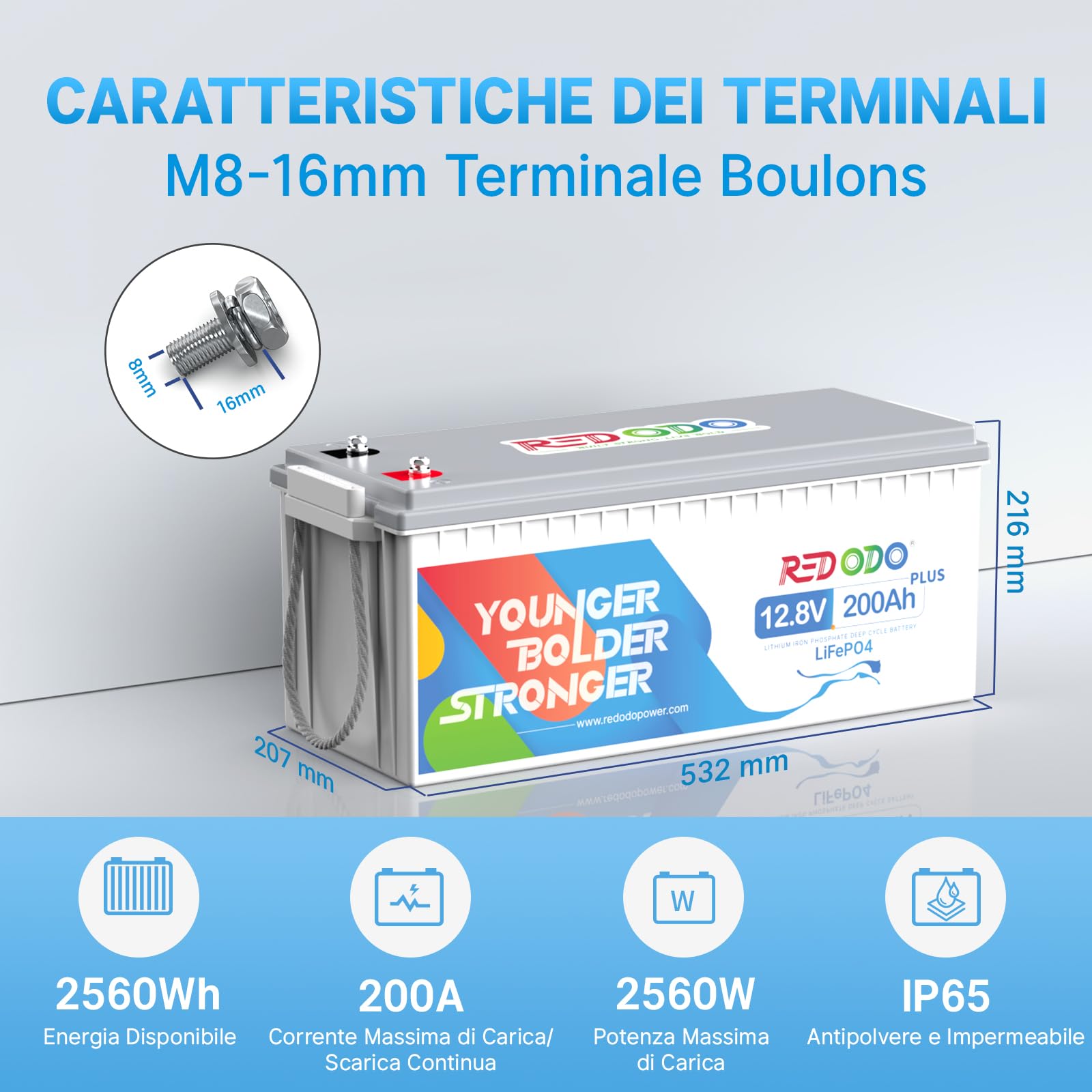 Redodo 12V 200Ah Plus(1 PACK) Batteria LiFePO4 2560Wh Batteria Litio con BMS 200A Multiprotezione 5X Durata 30% Risparmio Per Camper/Off-Grid/Solare