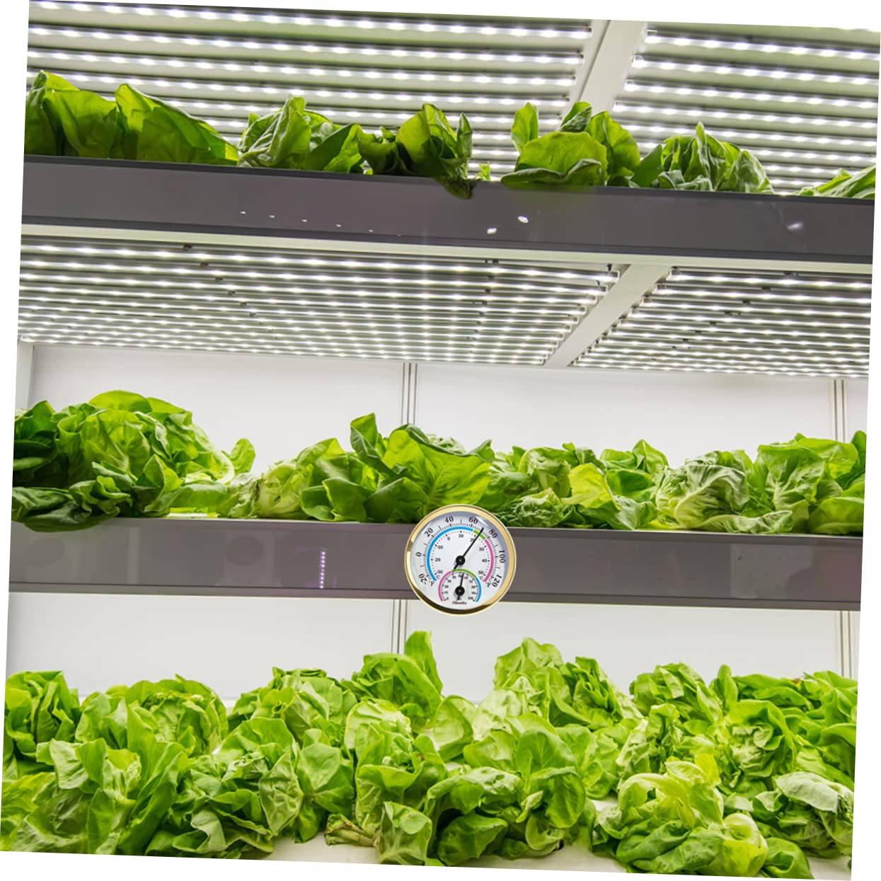 BESPORTBLE 5pezzi Termometro e Igrometro Multifunzionale Da Giardino Sensore Per Misurazione Temperatura e Umidità Design Elegante Per Uso Ed Esterno Facile Da Installare Per Uffici e