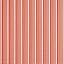C-red Stripes C-red Stripes