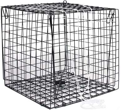 Sea Striker SSCT10.5 Crab Trap Sq 10.5 X 10.5 X 10.5