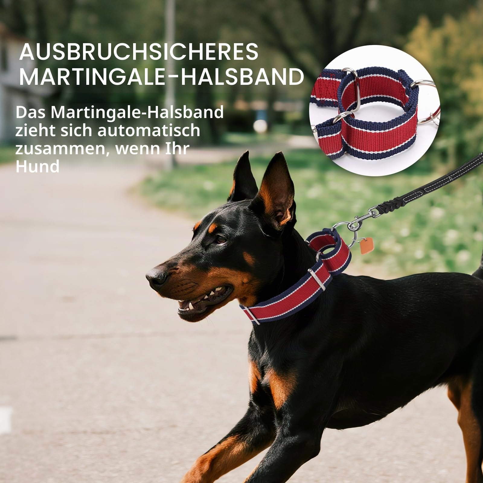 Martingale Halsband für Hunde-4 cm Breites, 1600D Hochfestes Ausbruchssicheres Nylon-Halsband mit 3-Farben Streifen-Zugfest & Langlebig für Mittelgroße bis Sehr Große Hunde M, Khaki&Dunkelbraun