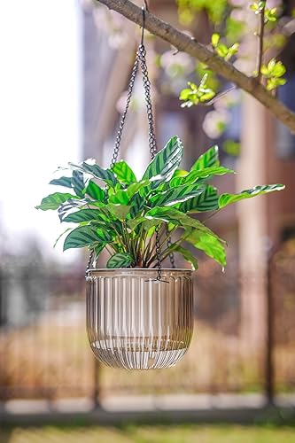 Miniatura 7 de Melphoe 2 Pack Self Watering Hanging Planters Indoor Flower Pots, 6.5 Inch Outdoor Hanging Plant Pot Basket, Plant Hanger with 3Hooks Drainage Holes