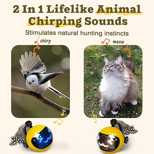 Miniatura 5 de Pelota móvil para gatos con cola de plumas, juguete interactivo recargable 2025 con control remoto para ejercicios de gatos de interior, bola