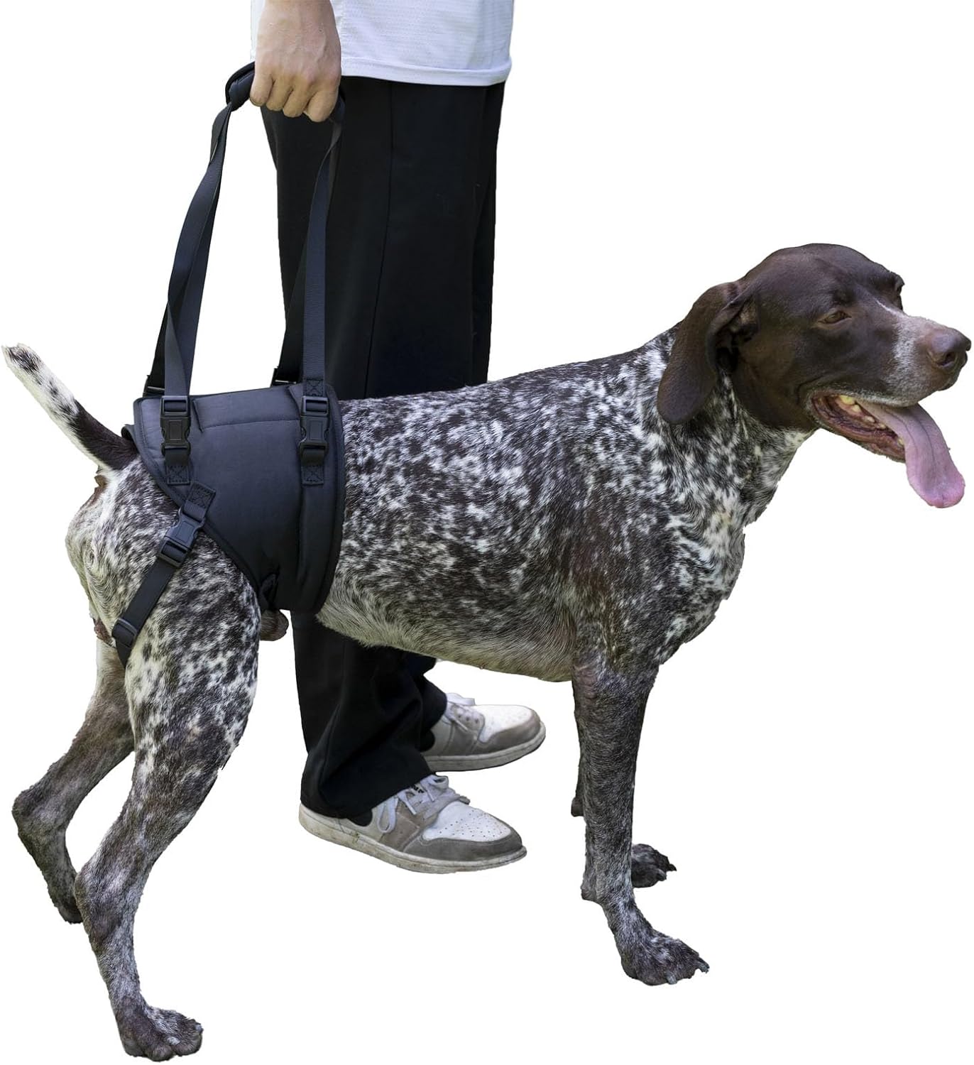 Dog Sling for Large Dogs Hind Leg Support to Help