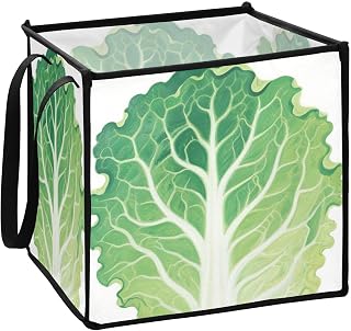 Funny Cabbage Leaf storage bin for shelves big storage bin 13x13x13 In