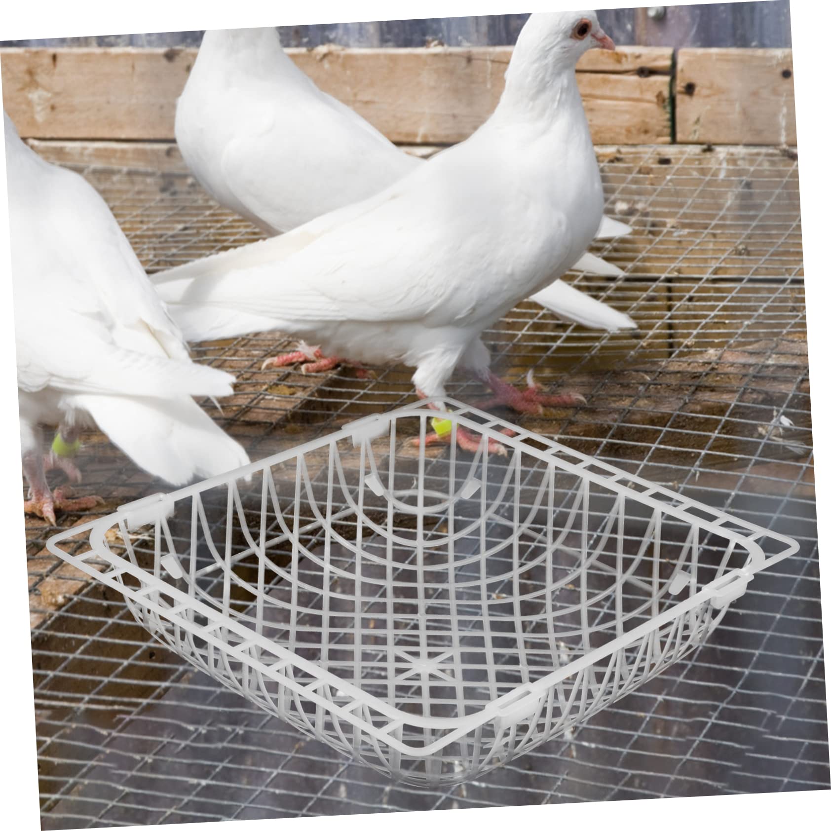 Uova Finte Per Piccioni - 10 Pezzi In Plastica Bianca, 3.5 Cm - Foto 4