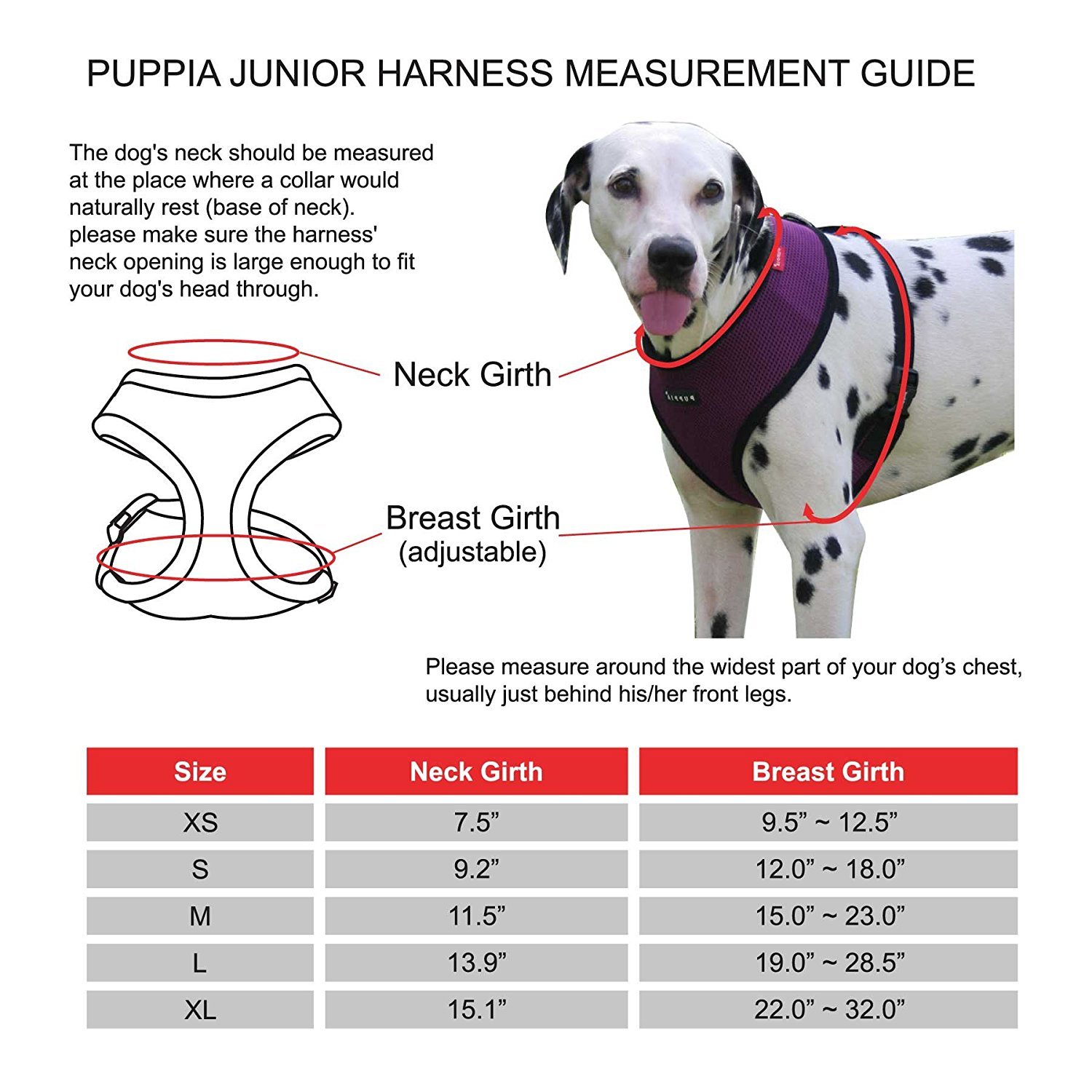 HARNESS JUNIOR A BEIGE M