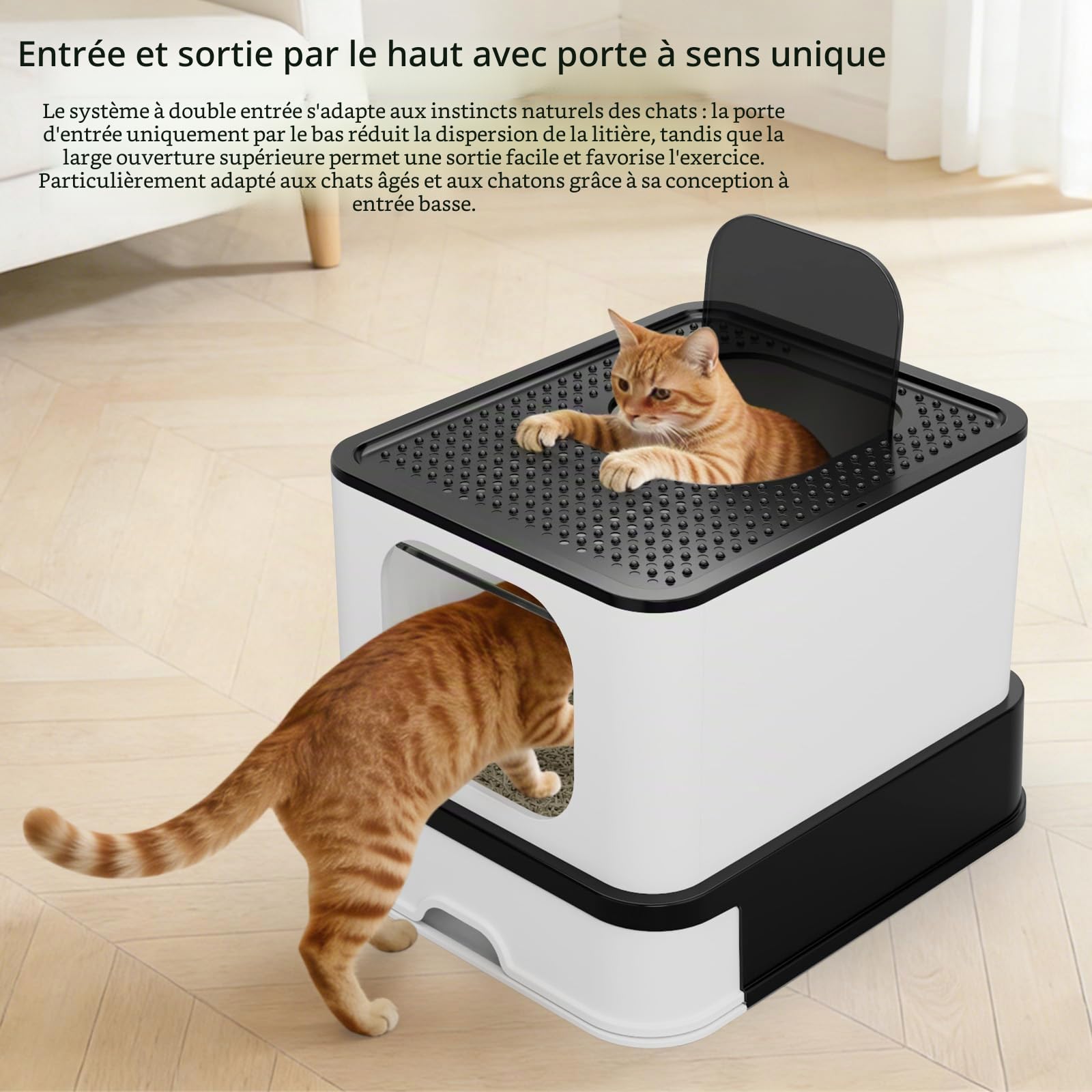 Sfozstra Bac à litière fermé en acier inoxydable : étanche, anti-odeurs et sans odeur, pour plusieurs chats, format extra-large – Idéal pour la salle de bain, l'appartement ou le balcon, couleur noire
