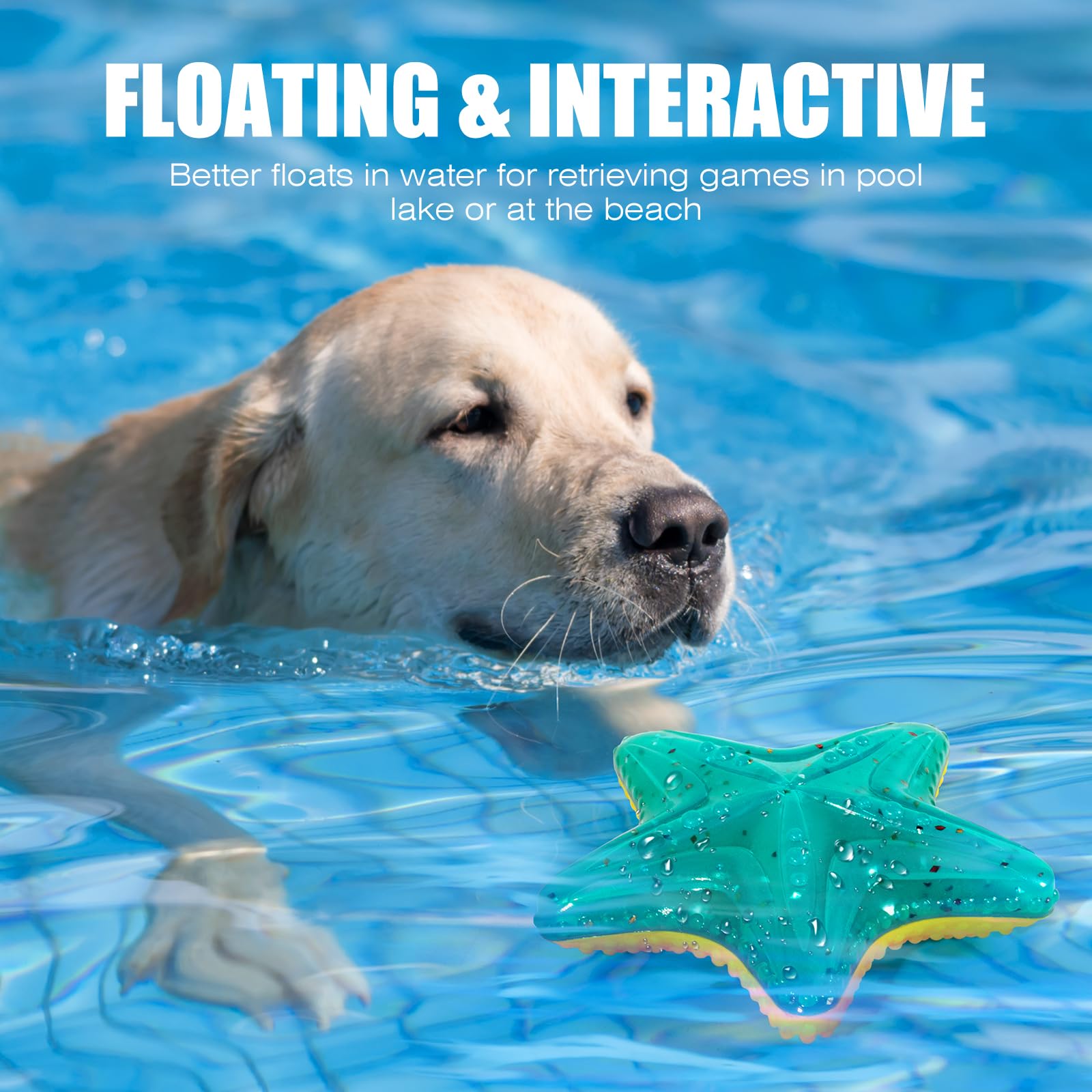 Jouet pour chien flottant et lumineux - Brille dans le noir - Pour grands chiens (kit grand requin + grand Starfis)