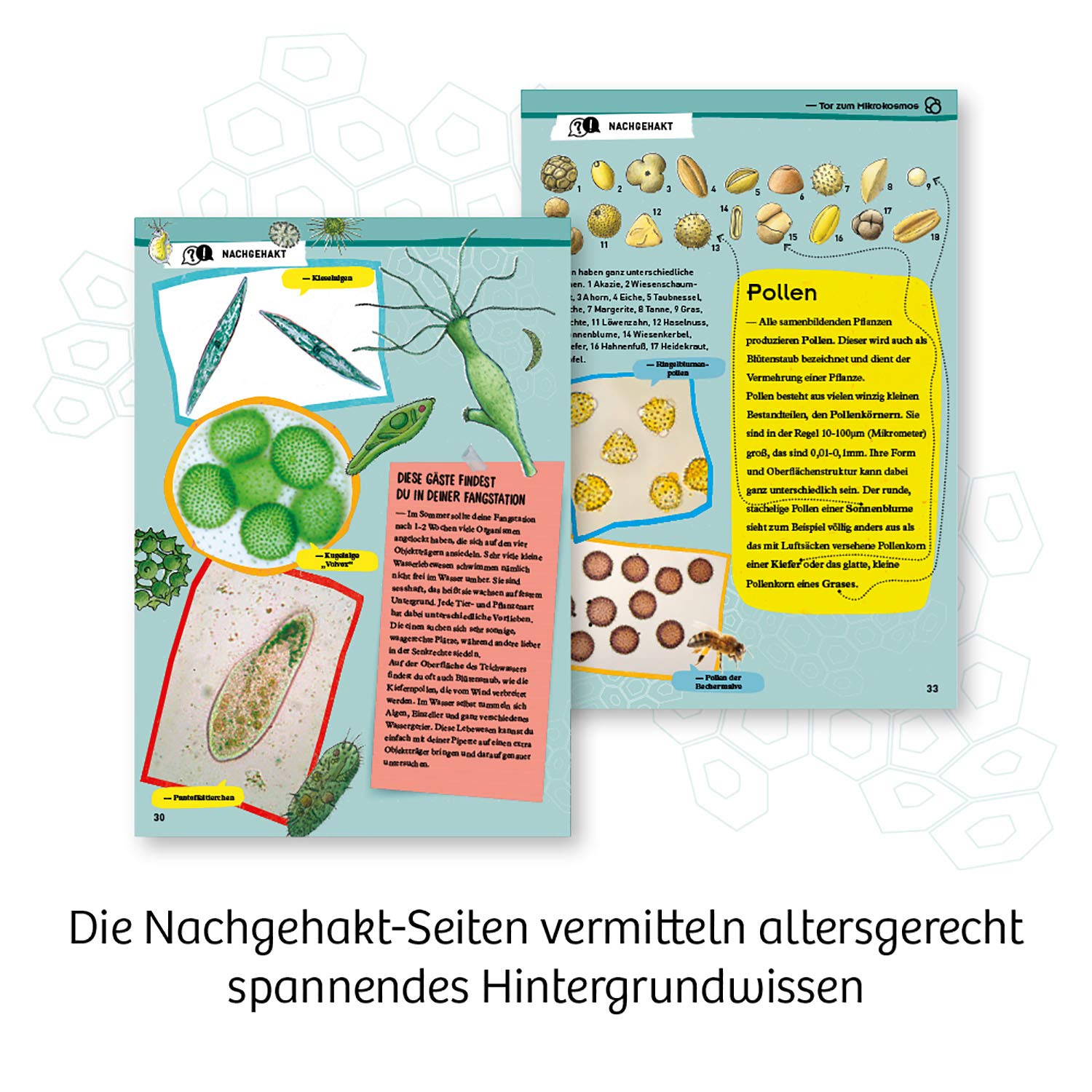 KOSMOS 636050 Entdecker-Mikroskop – Experimentierkasten für Kinder ab 8 Jahren, Schüler-Mikroskop zum Forschen und Entdecken, Kinder