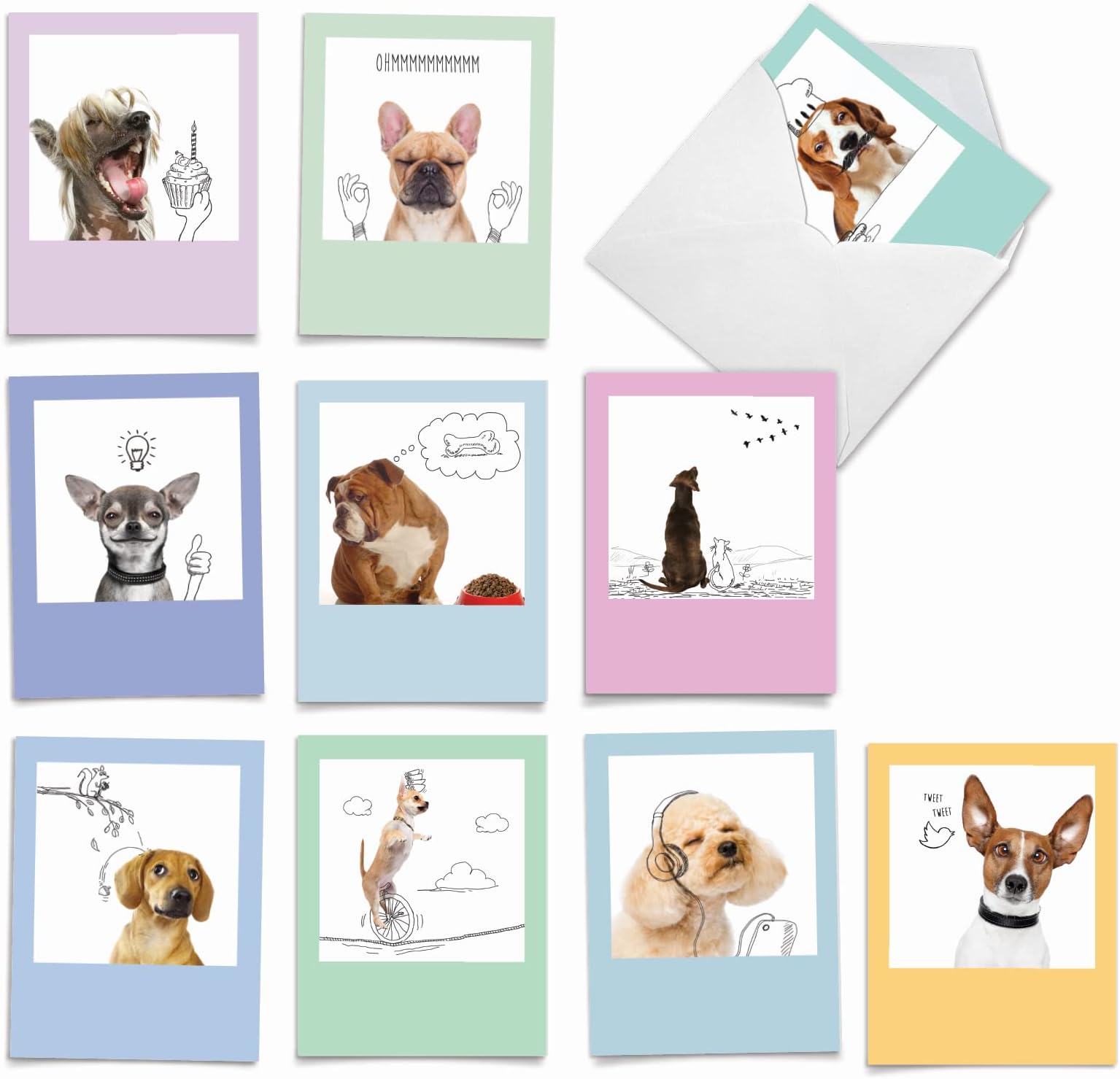 The Best Card Company10 Blank Dog Cards Assorted (4 x 5.12 Inch) - Adorable Boxed Animal Note Cards for All Occasions - Dogs & Doodles M6582OCB