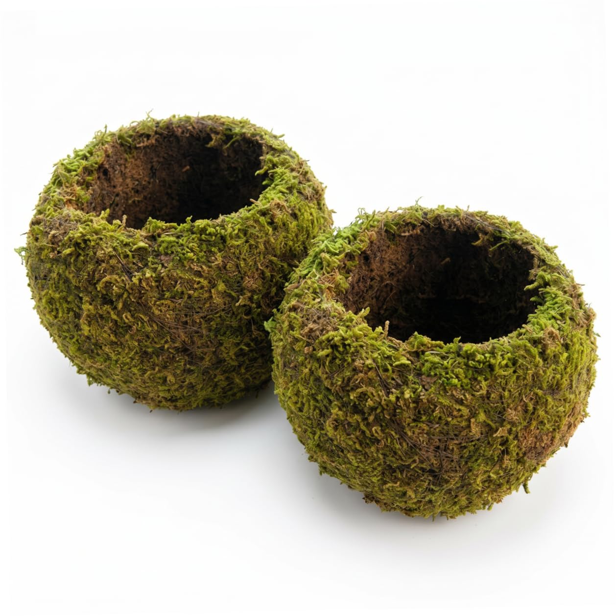 Boules de mousse décoratives 18cm et pot respirant naturel pour bonsaï