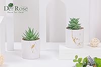 Vista 6 de Der Rose Juego de 2 plantas suculentas artificiales Mini plantas suculentas falsas para accesorios de oficina y hogar para mujeres