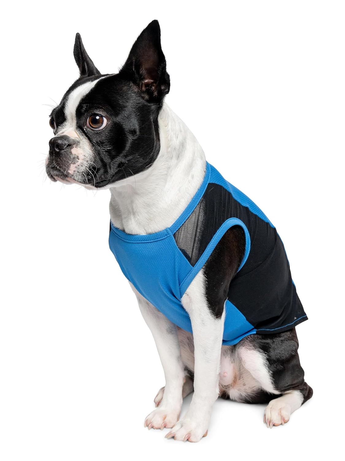 Insect Shield Pet Breathable Sleeveless Mesh Airflow Tank Top with Built in Bug and Tick Protection, Lake, Small