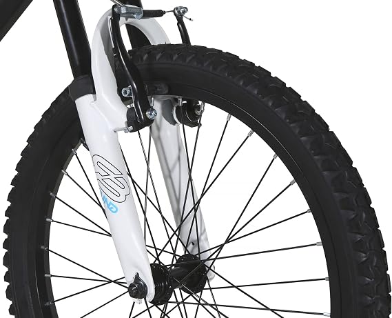 Air Zone Aftershock 20 Bike
