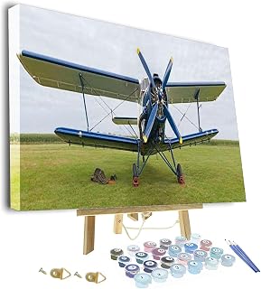 Paint by Numbers Kit for Adults - Transport Aircraft Airplane Framed and Easel,Adults Paint by Number Kits for Beginners On Canvas,