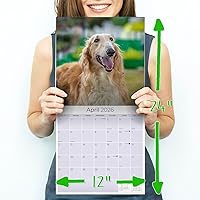 Vista 500 de Razas de Perros 2017