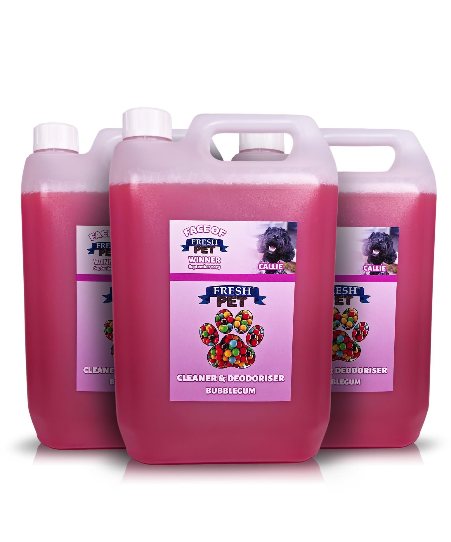 FRESH PET CLEANER DISINFECTANT KENNEL/CATTERY PRE FILLED 5L x 3 (Bubblegum) — image 1