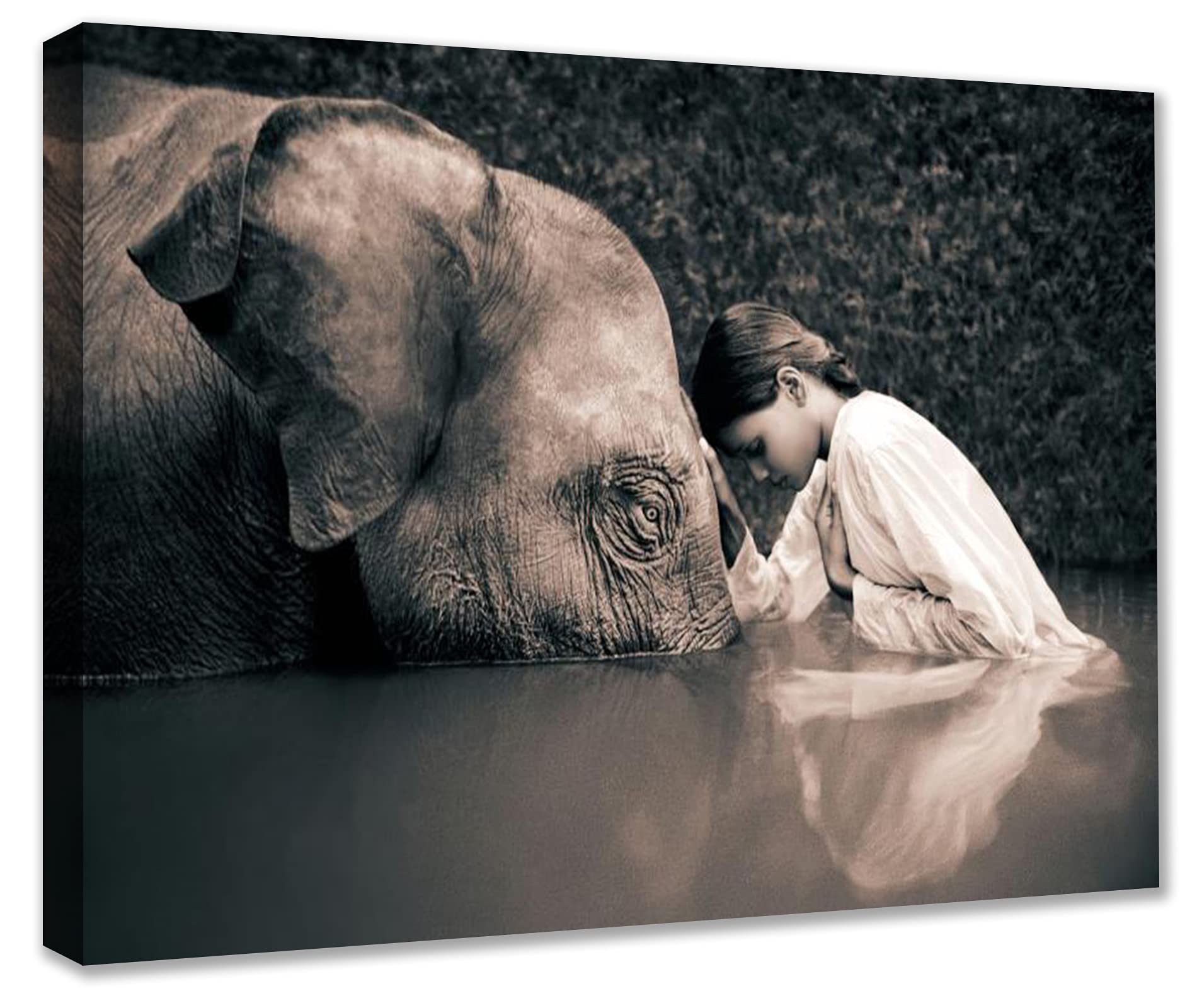 Amazon.com: Human Animals at Peace Nature Canvas Wall Art for Living Room  Decor Elephant with Girl in Water Kitchen Wall Decor Artwork Human and  Nature in Harmony Home Decor Wall Pictures Framed