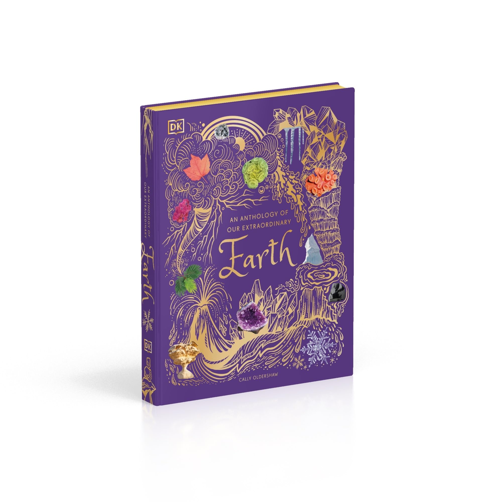 An Anthology of Our Extraordinary Earth: Discover the Awe-Inspiring Wonders of Planet Earth (DK Children's Anthologies)