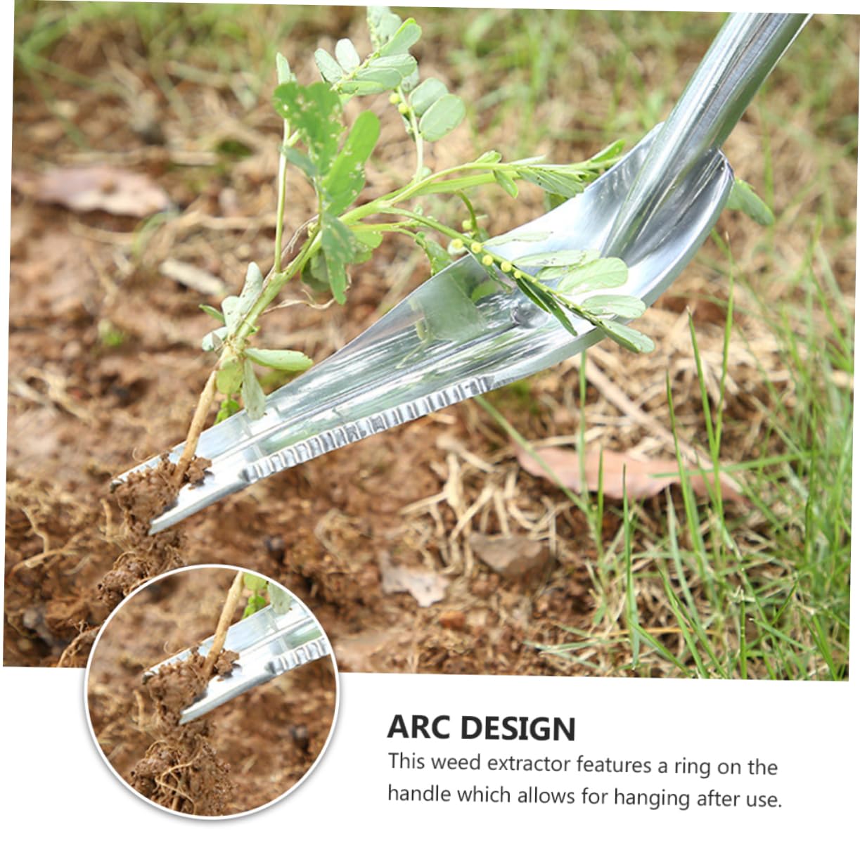 Toddmomy Estirpatore Manuale da Giardino in Ferro, Scavapatate e Allenta Terreno, Anello per Appendere, per Rimuovere Le Erbacce nel Giardino