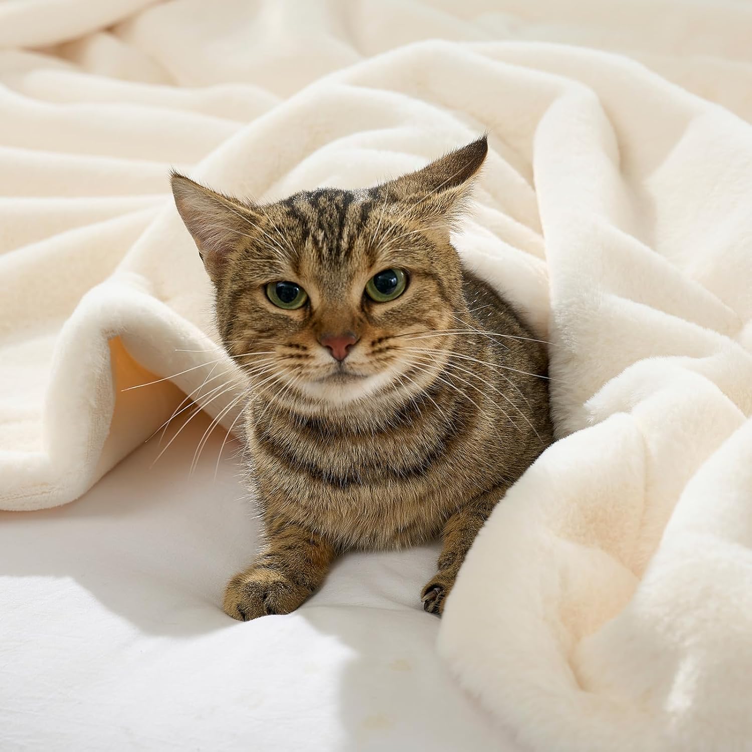 Waterproof Pet Blanket, Ultra Soft Luxury Faux Fur Throw Blanket for Couch, Cozy Warm Plush Blanket for Sofa Bedroom Living Room, Liquid Pee Proof for Large Dog or Cat, 30x40 inch, Cream - Image 4