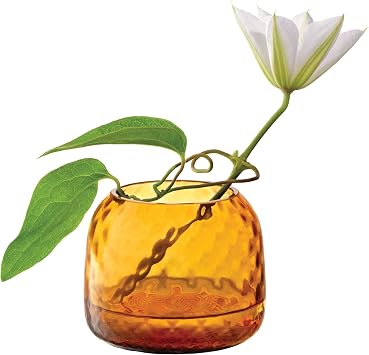 LSA G1753-07-131 Flower Base Flower Vase Amber Height 2.8 inches 7 cm Dapple