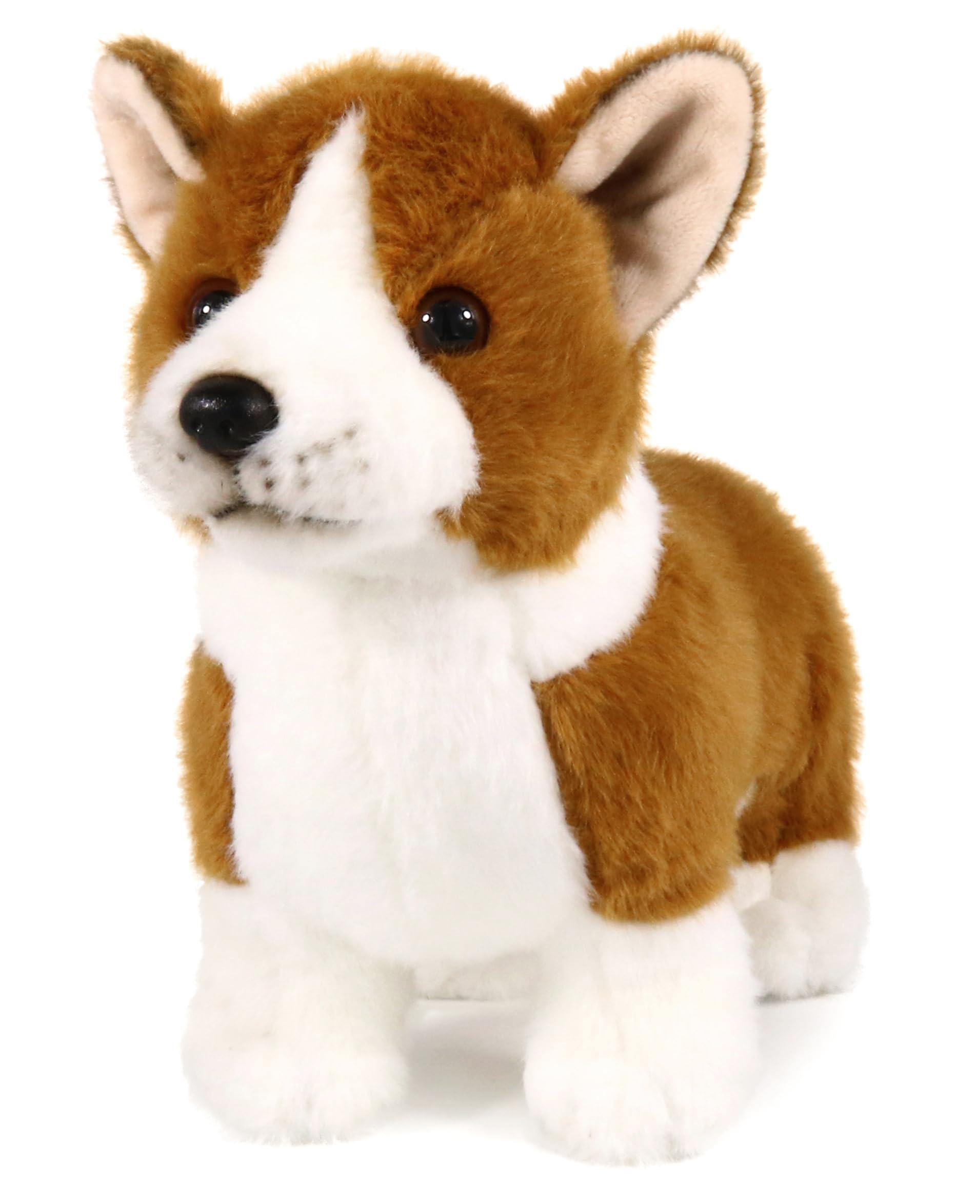ICE KING BEAR Corgi Dog Plush Stuffed Animal Toy 22cm Length, Brown, 7.5 inches - Image 2