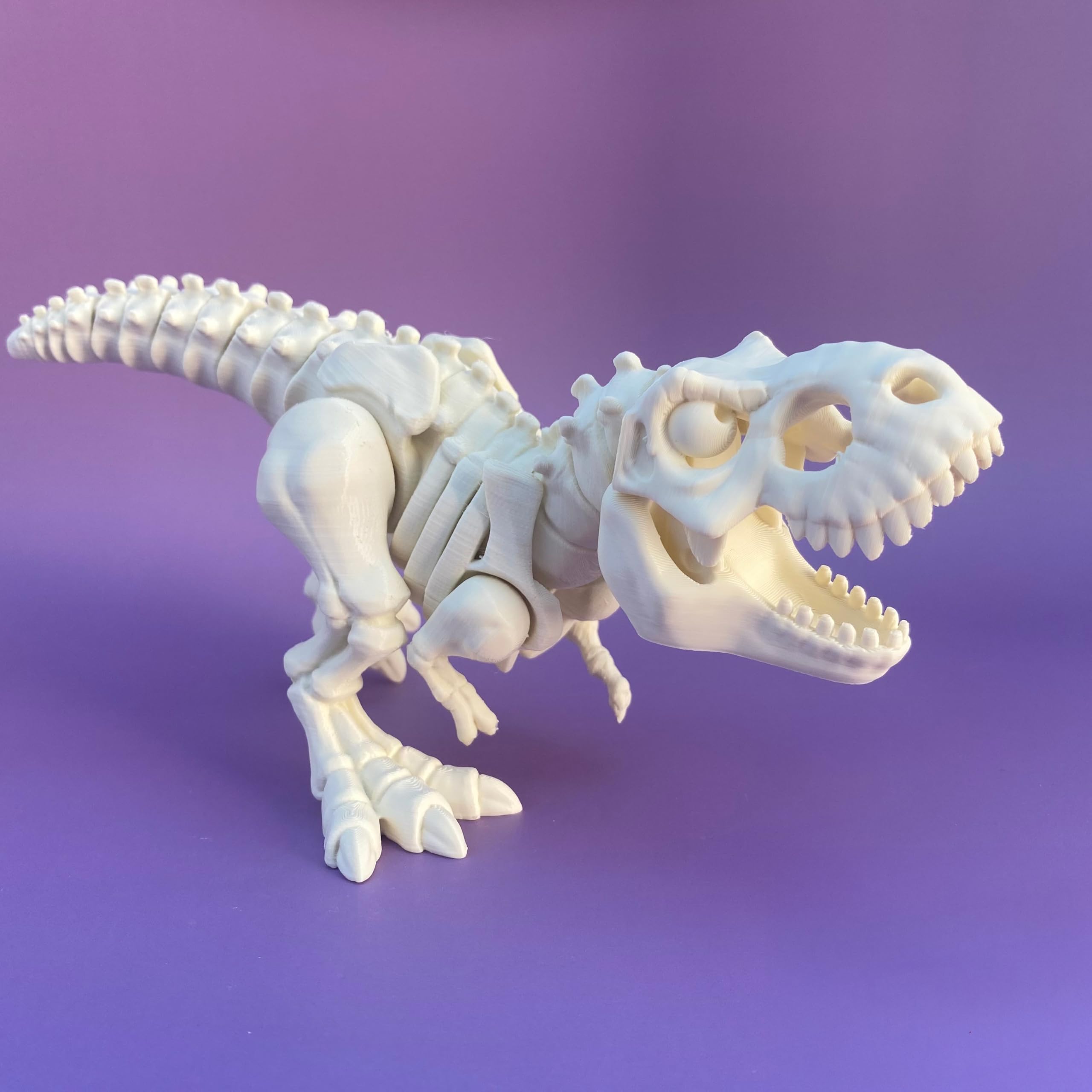 The T-REX - Dinosaur Skeleton - Dinosaur Kids Toy – 3D Printed Articulated T-Rex Skeleton Toy (17 cm) – Movable Dinosaur Figure for Kids, Collectors – Unique Gift, Aesthetic Decor & Creative Play-image-16