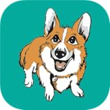 Hot Diggity Dog Daycare