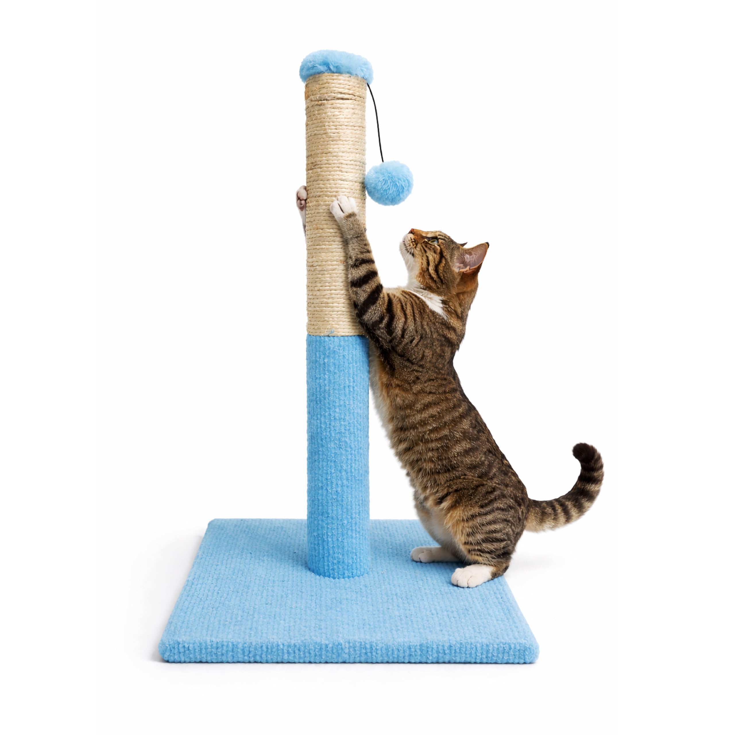 Arbre à chat en sisal ASPCA bleu avec jouet suspendu pour l'escalade des chatons