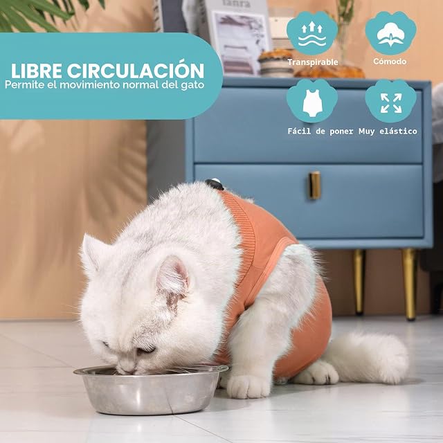 Foto 2 de 6 de Avont Traje de Recuperación para Gato Después de la Cirugía