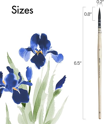 Miniatura 10 de ARTIFY - Pinceles de acuarela para cabello de ardilla natural profesional, punta fina redonda, pincel de acuarela para trazos grandes, ideal para