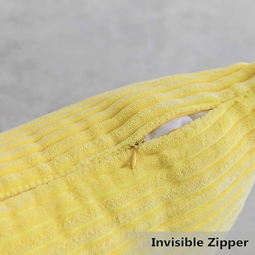 Vista 256 de Home Brilliant - Juego de 2 fundas de almohada de 24 x 24 pulgadas / 61 x 61 cm., de terciopelo de pana a rayas, cojín cuadrado decorativo, funda