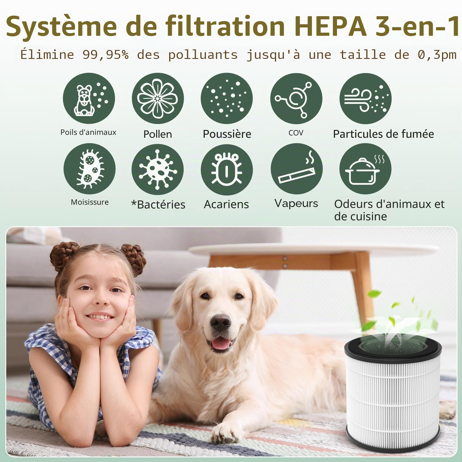 2 filtres de rechange compatibles avec Philips 800 Series - AC0830/10 AC0820/30 AC0820/10 AC0819/10, HEPA 3 en 1 H13 et charbon actif