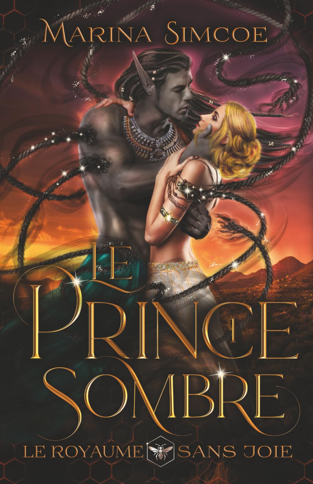 Le Prince Sombre (Le Royaume sans joie)