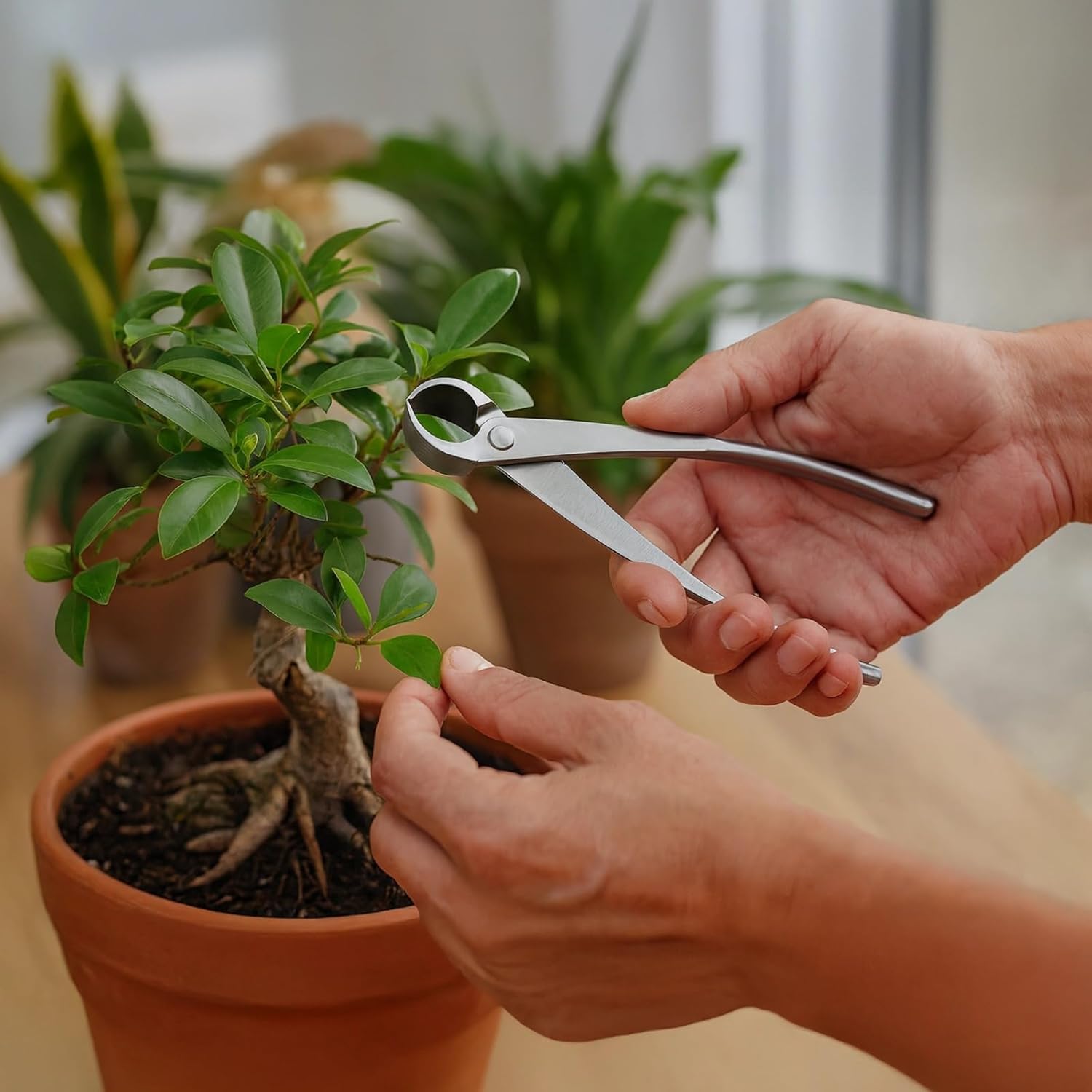 Bonsai Pruning Kit, 3 Pcs Set with 8.3 in Cutters, Oblique, Spherical Knob and Branch Cutters, Carbon Steel for Gardening, Pruning, Modeling