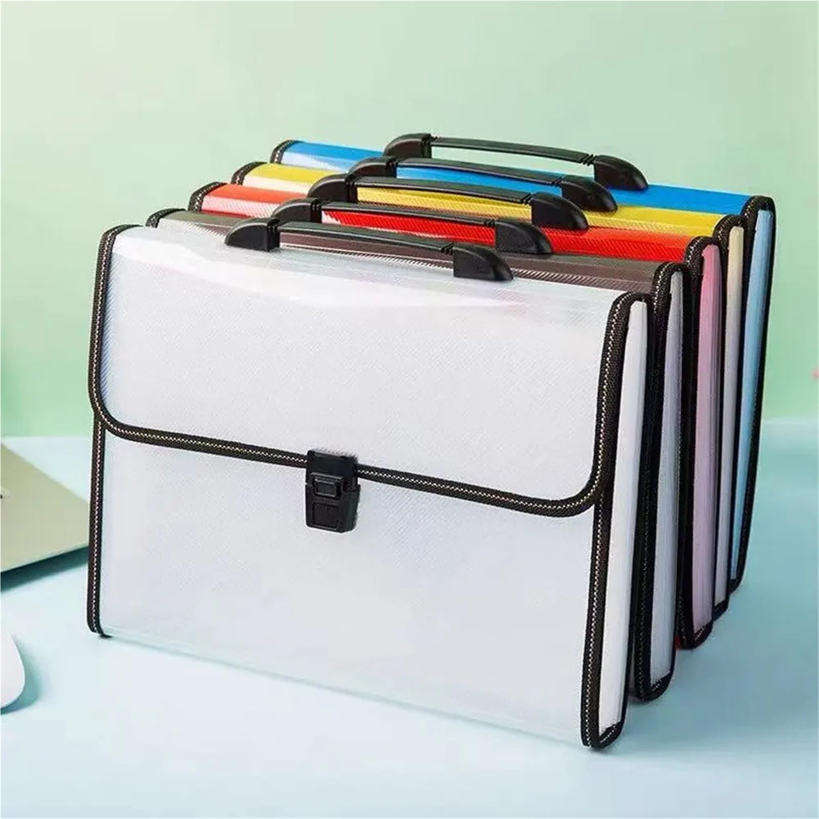 Carpeta Clasificadora Bolsa portátil for archivos de acordeón