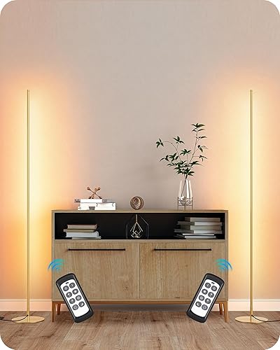 EDISHINE LED Corner Floor Lamp, Set of 2 Minimalist Dimmable
