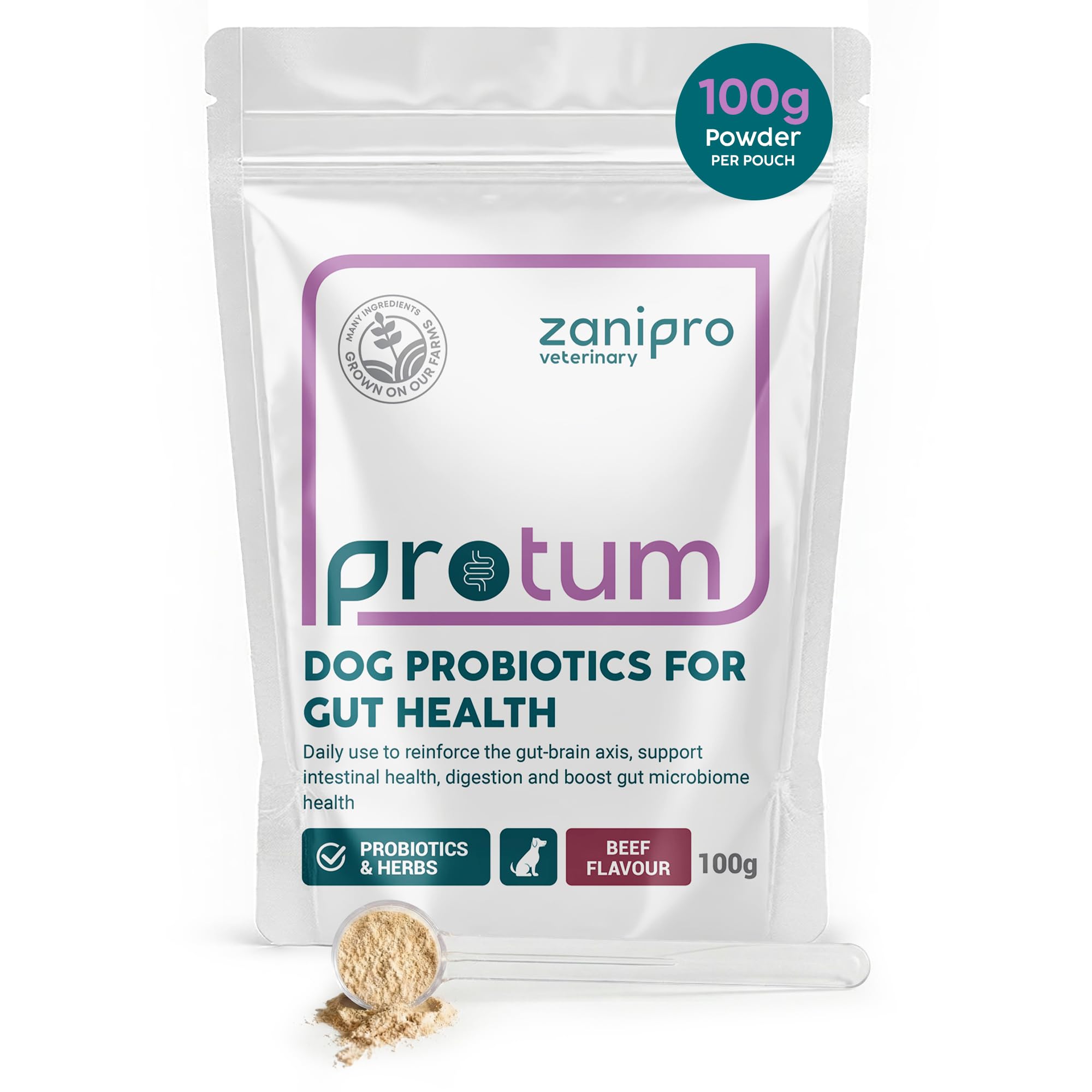 Zanipro Probiotics for Dogs Gut Health Supplement 100g – Advanced Dog Probiotic Powder with Prebiotics for Digestive & Immune Support, Helps Balance Gut Flora, Reduce Diarrhea & Bloating | Beef