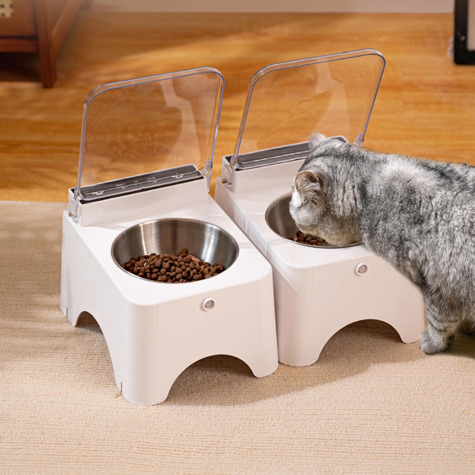 Gamelles En Acier Inoxydable Pour Chiens Station D'Alimentation À Couvercle | Plat de Nourriture pour Chat Pour Chatons, Animaux, Appartement, Intérieur, Maison, Cuisine, Ext