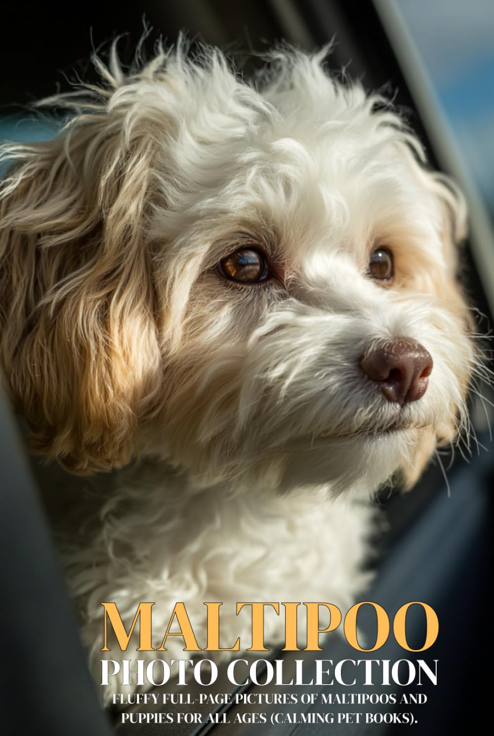 Maltipoo Photo Collection: Fluffy Full-Page Pictures of Maltipoos and Puppies for All Ages (Calming Pet Books).