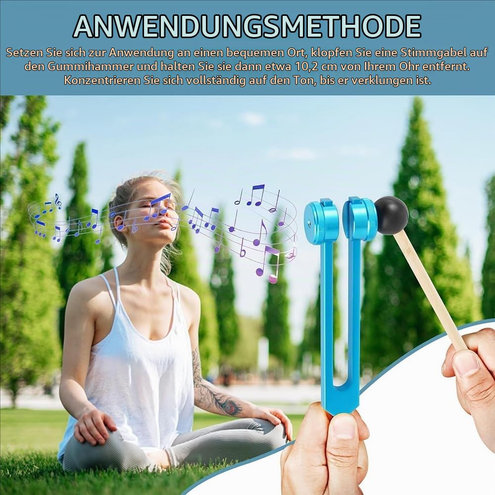 Stimmgabel Therapie,Neurologische Stimmgabeln,12 PCS Aluminiumgehäuse Mit Acht Stimmgabeln,Erhält Die Harmonie Von Geist,Körper Und Seele,Für Meditationstherapie,Chakra-Therapie,Klangtherapie Etc.