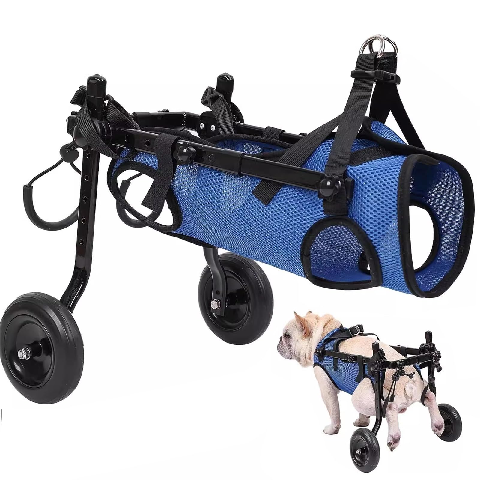 Poussette pour animaux de petite taille et balades au parc retrouvées