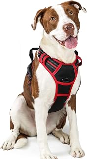 rabbitgoo Arnes Perro Grande, Arnes Perro Antitirones Coche con Lineas Reflecantes, Chaleco Perro Acolchado Ajustable Transpirable con Asa y Anillos para Adiesreamiento Tamaño L Color Negro y Rojo